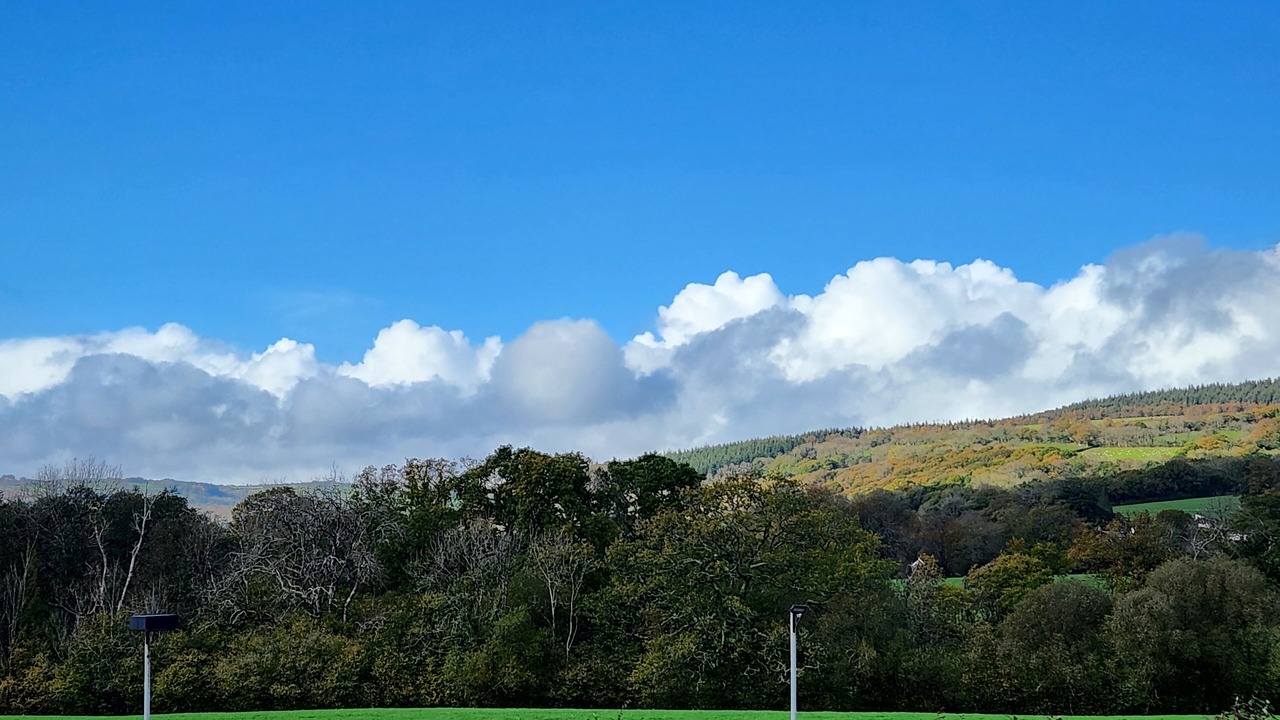 Photo of Outdoor in Ashburton