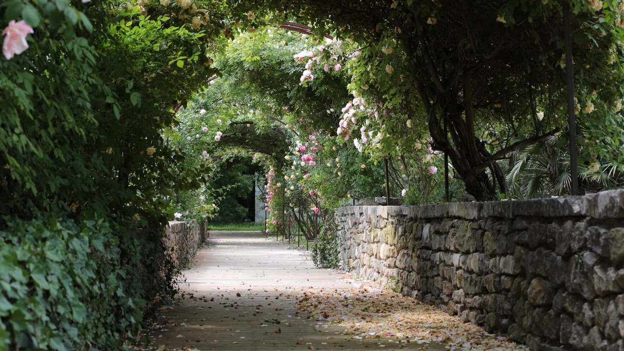 Photo of Outdoor in Potelieres