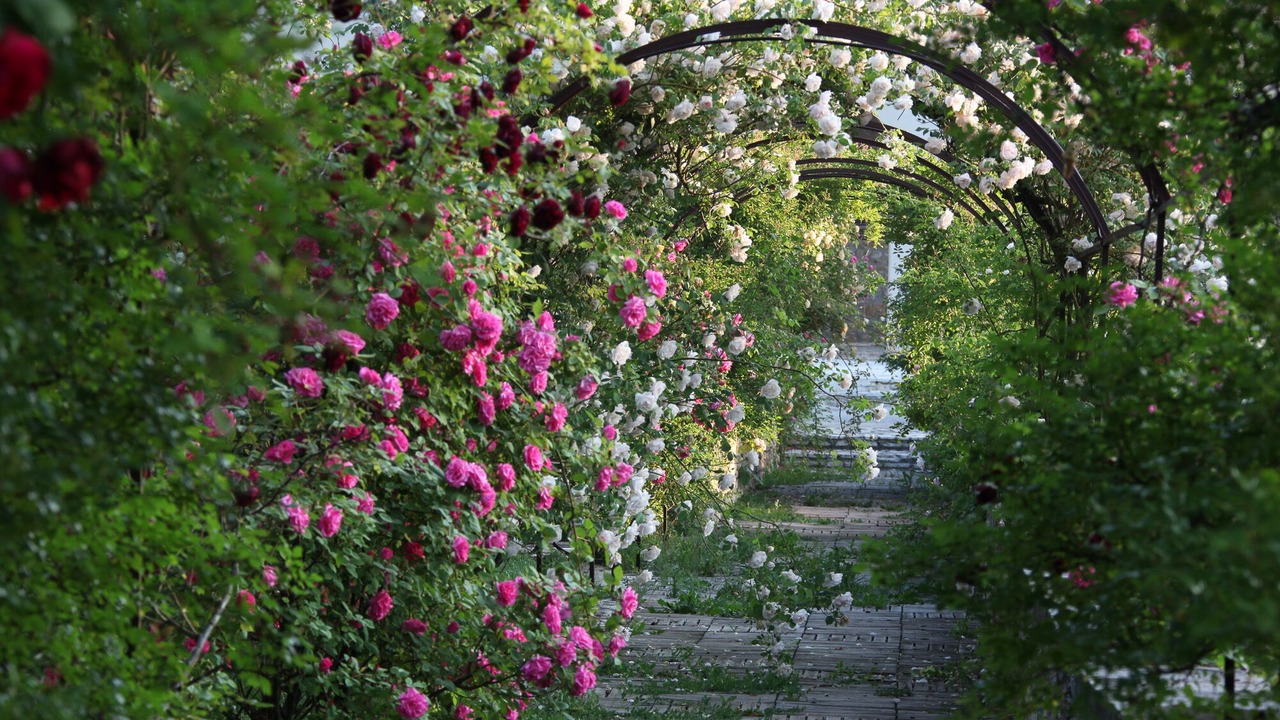 Photo of Outdoor in Potelieres