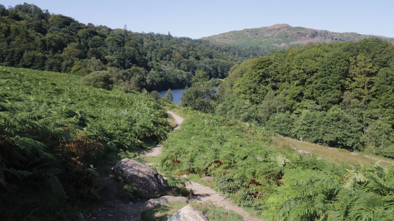 Photo of Others in Newton Reigny