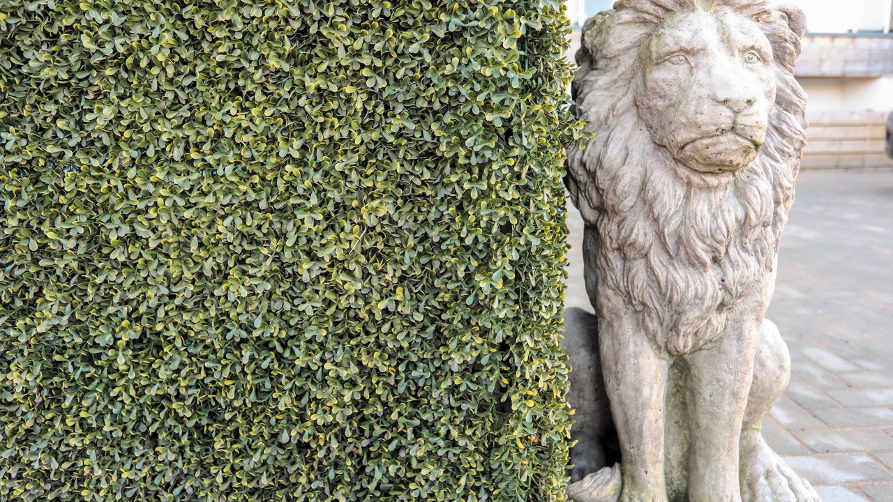 Photo of Outdoor in Bont Newydd