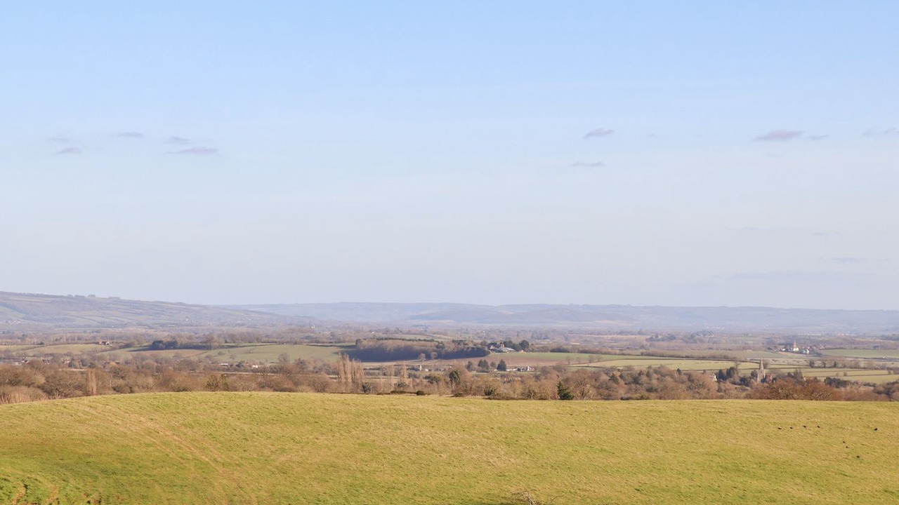 Photo of Others in Moreton