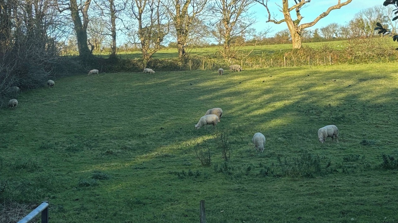 Photo of Others in Praze-An-Beeble