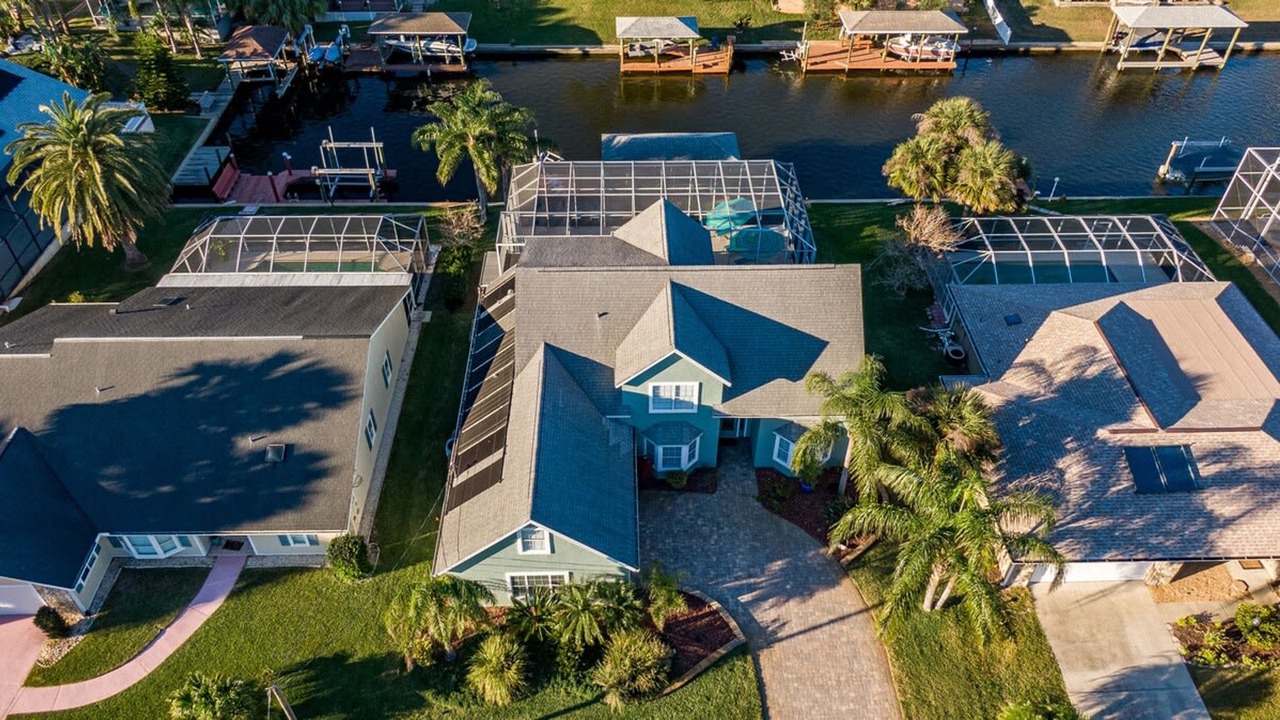 Photo of Others in Palm Harbor