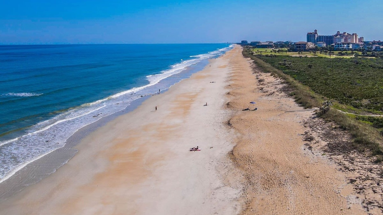 Photo of Others in Palm Harbor