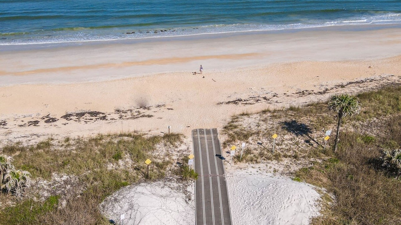 Photo of Others in Palm Harbor