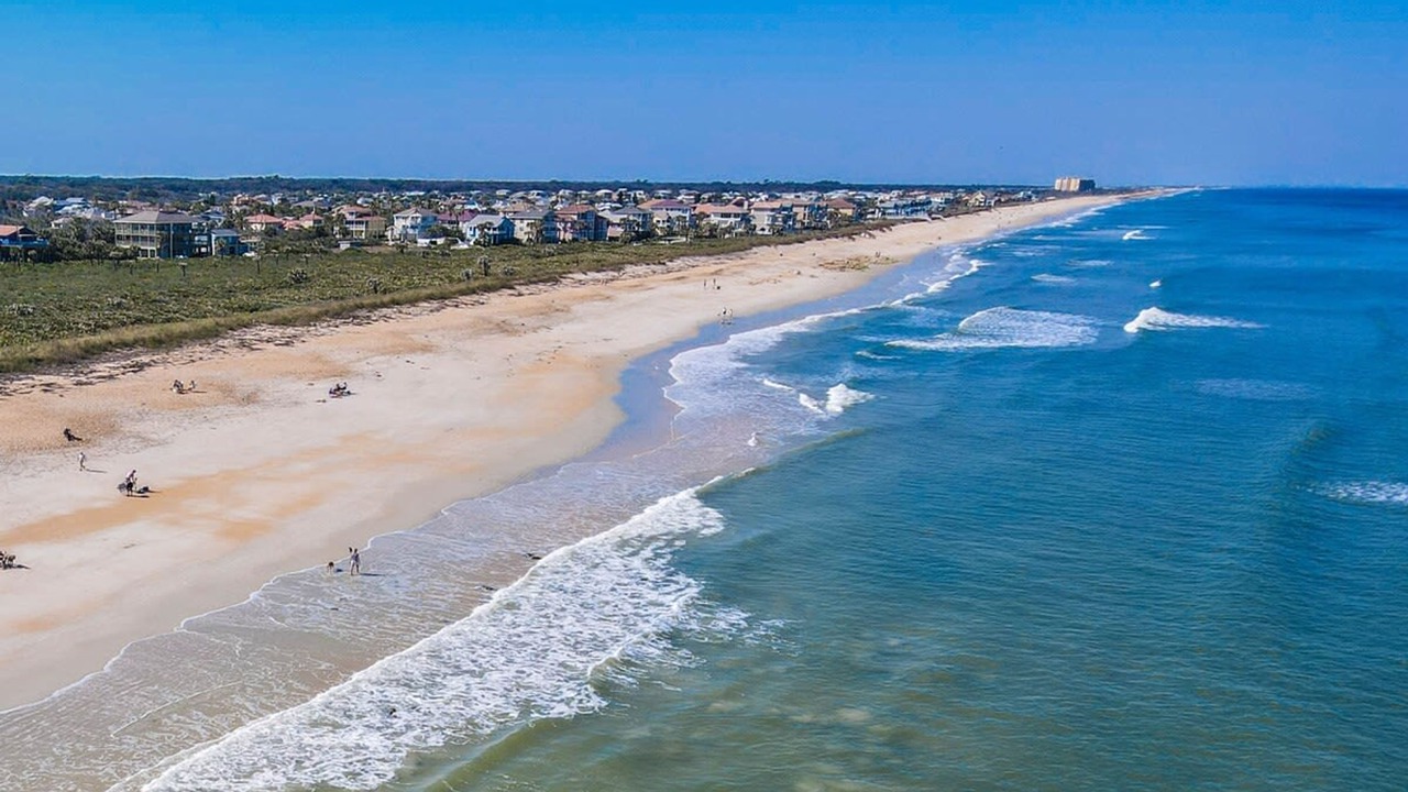 Photo of Others in Palm Harbor