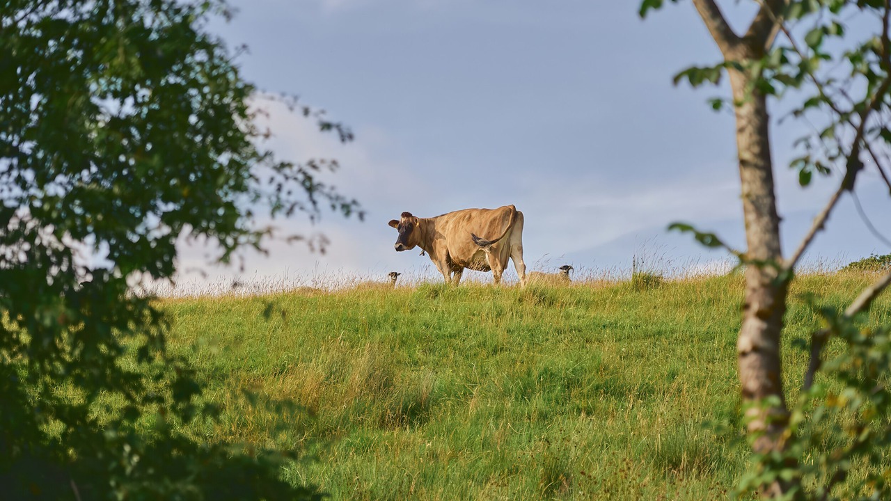 Photo of Others in Yockenthwaite