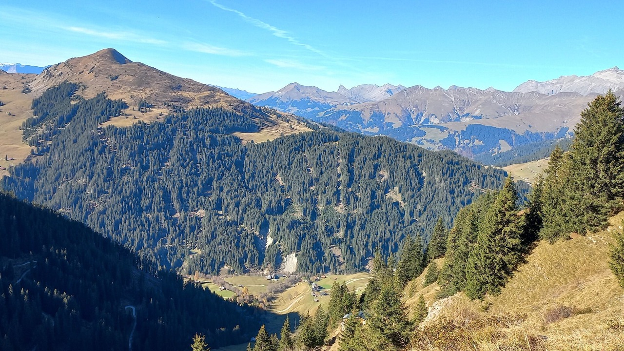Photo of Outdoor in Ascharina