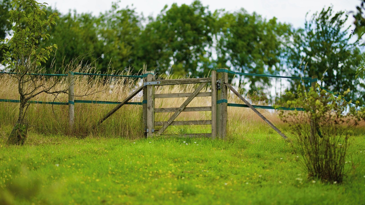 Photo of Others in Berkhamsted