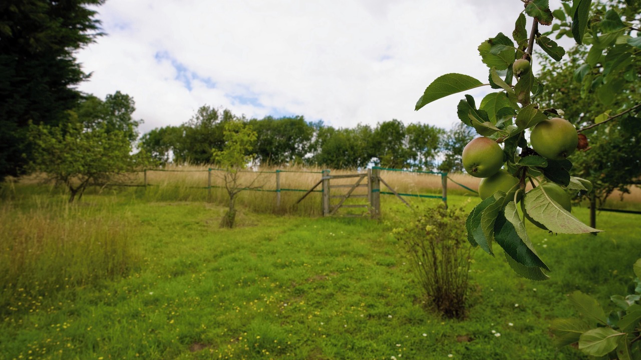 Photo of Others in Berkhamsted