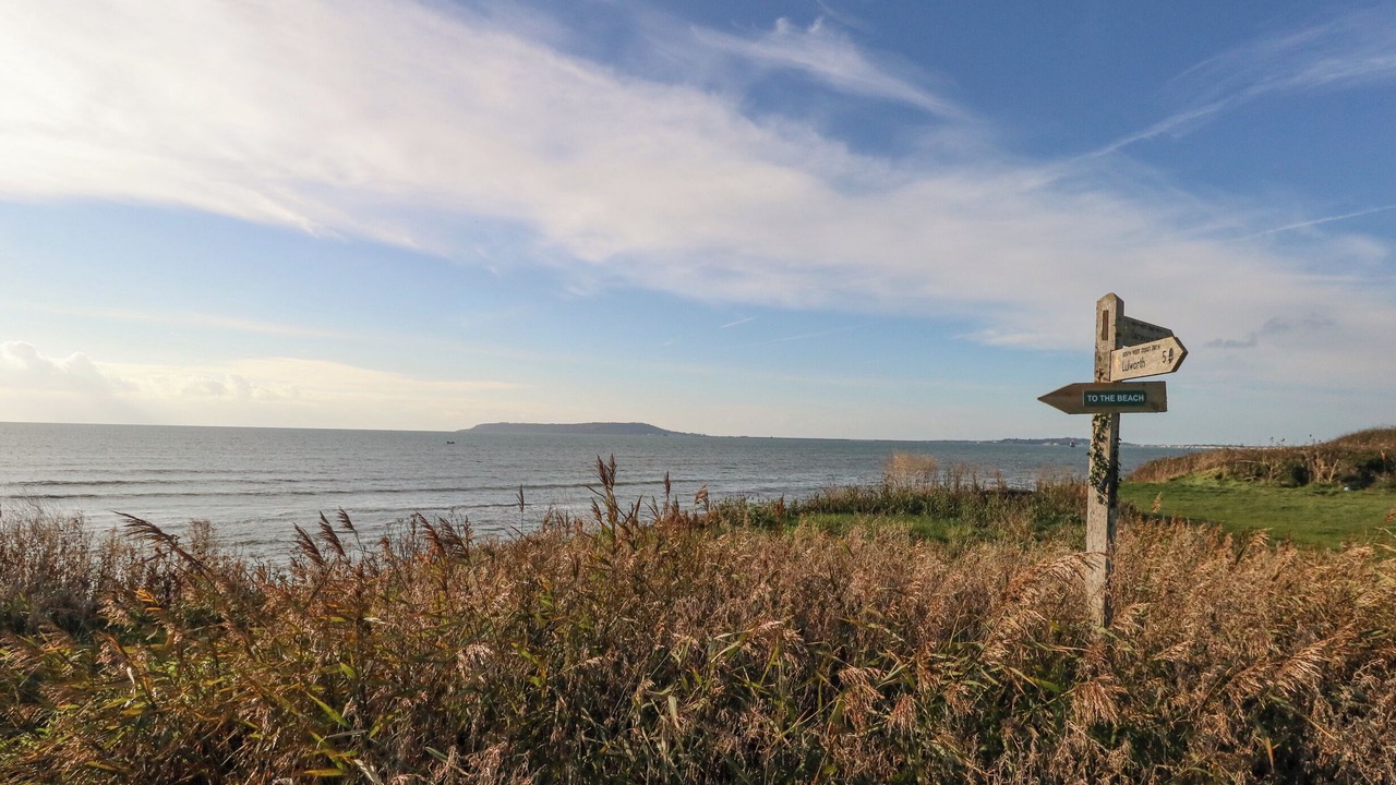 Photo of Others in Dorchester