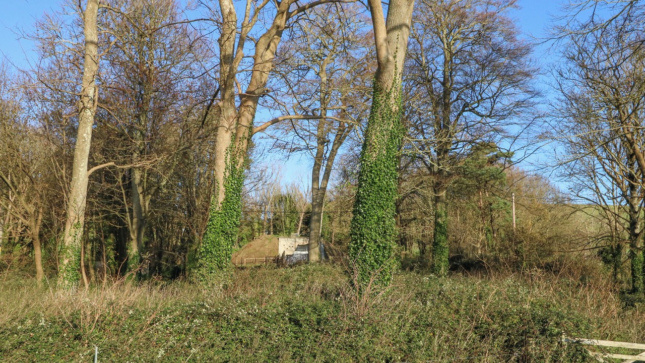 Photo of Others in Dorchester