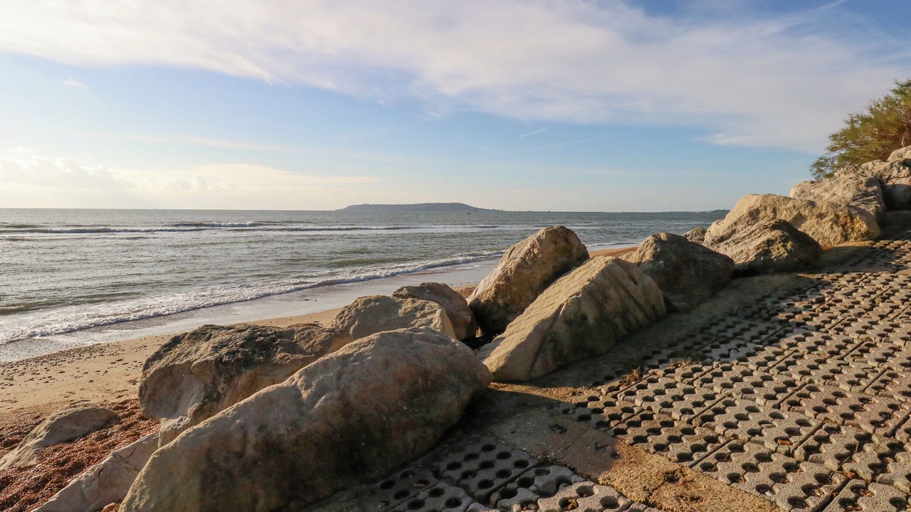 Photo of Others in Dorchester