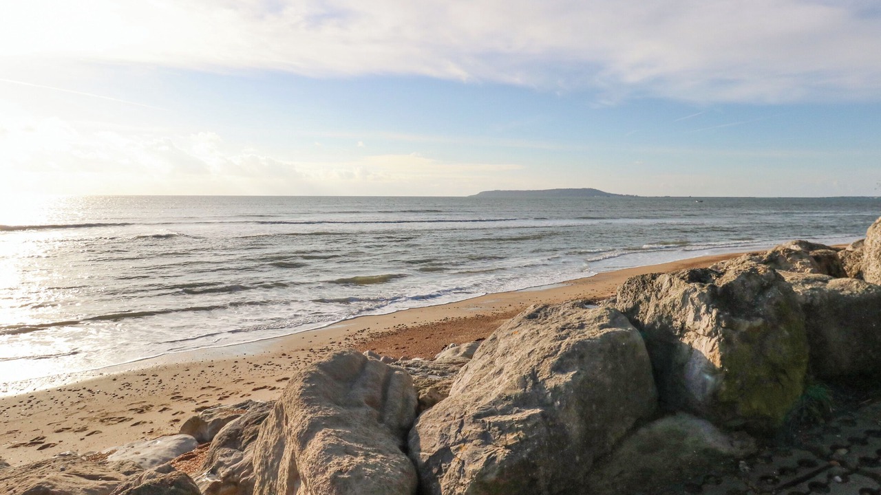 Photo of Others in Dorchester