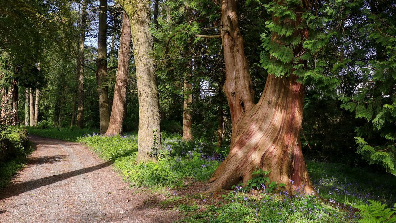 Photo of Others in Felinfach