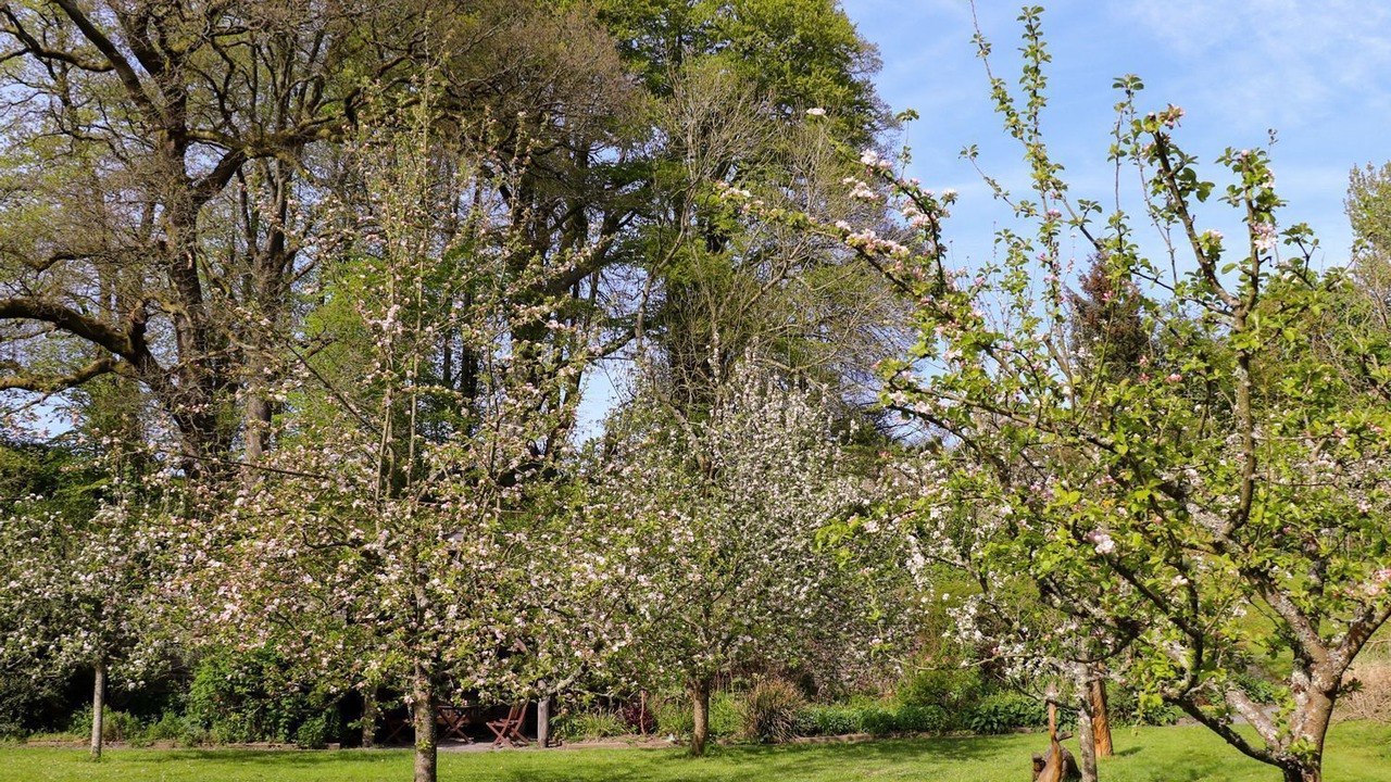Photo of Others in Felinfach