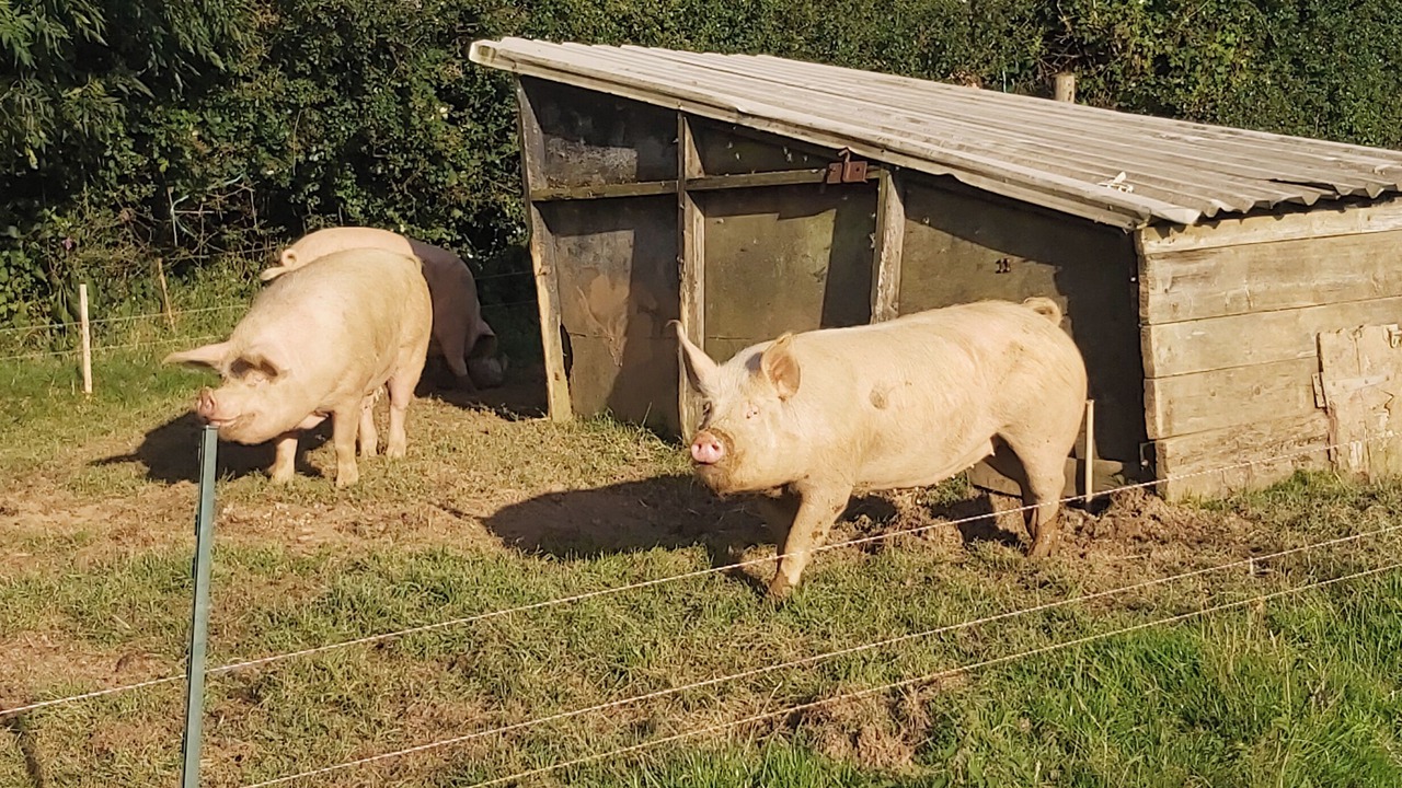 Photo of Others in Brayford