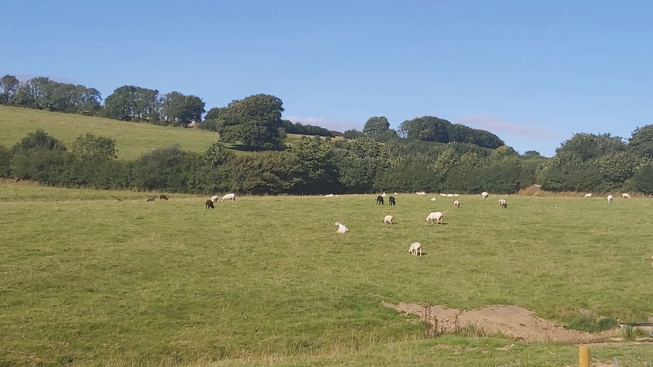 Photo of Others in Brayford