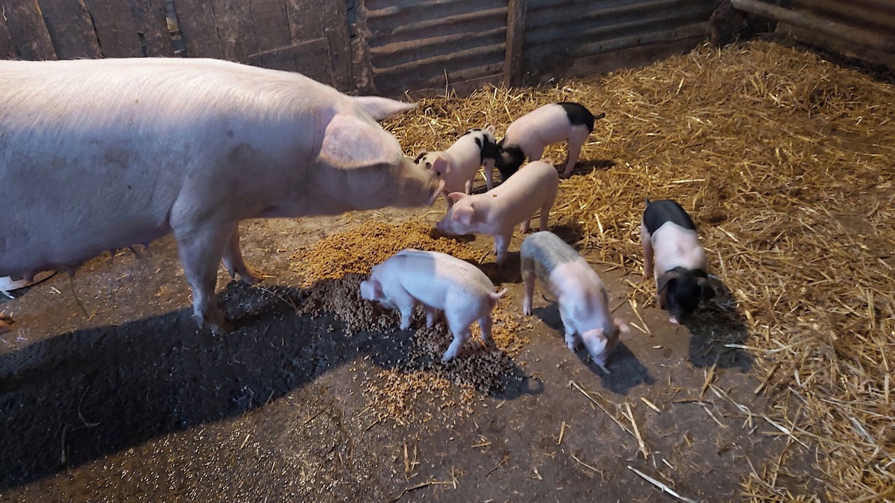 Photo of Others in Brayford