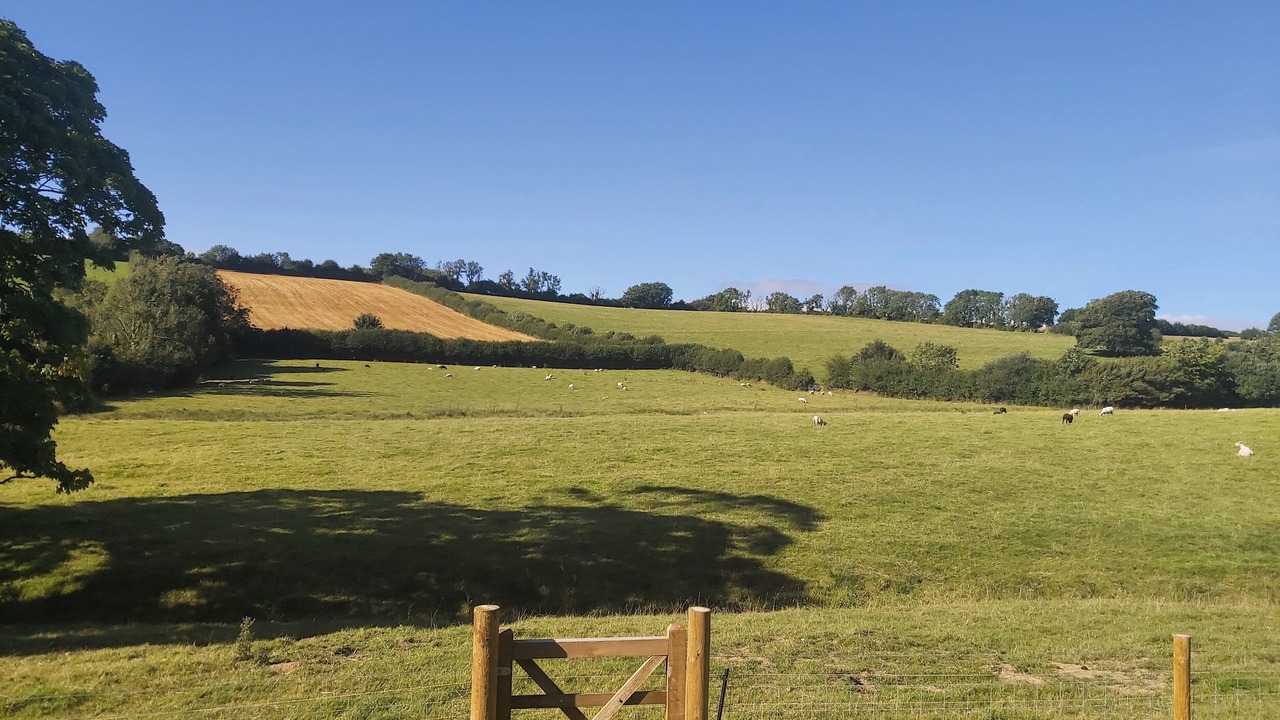 Photo of Others in Brayford