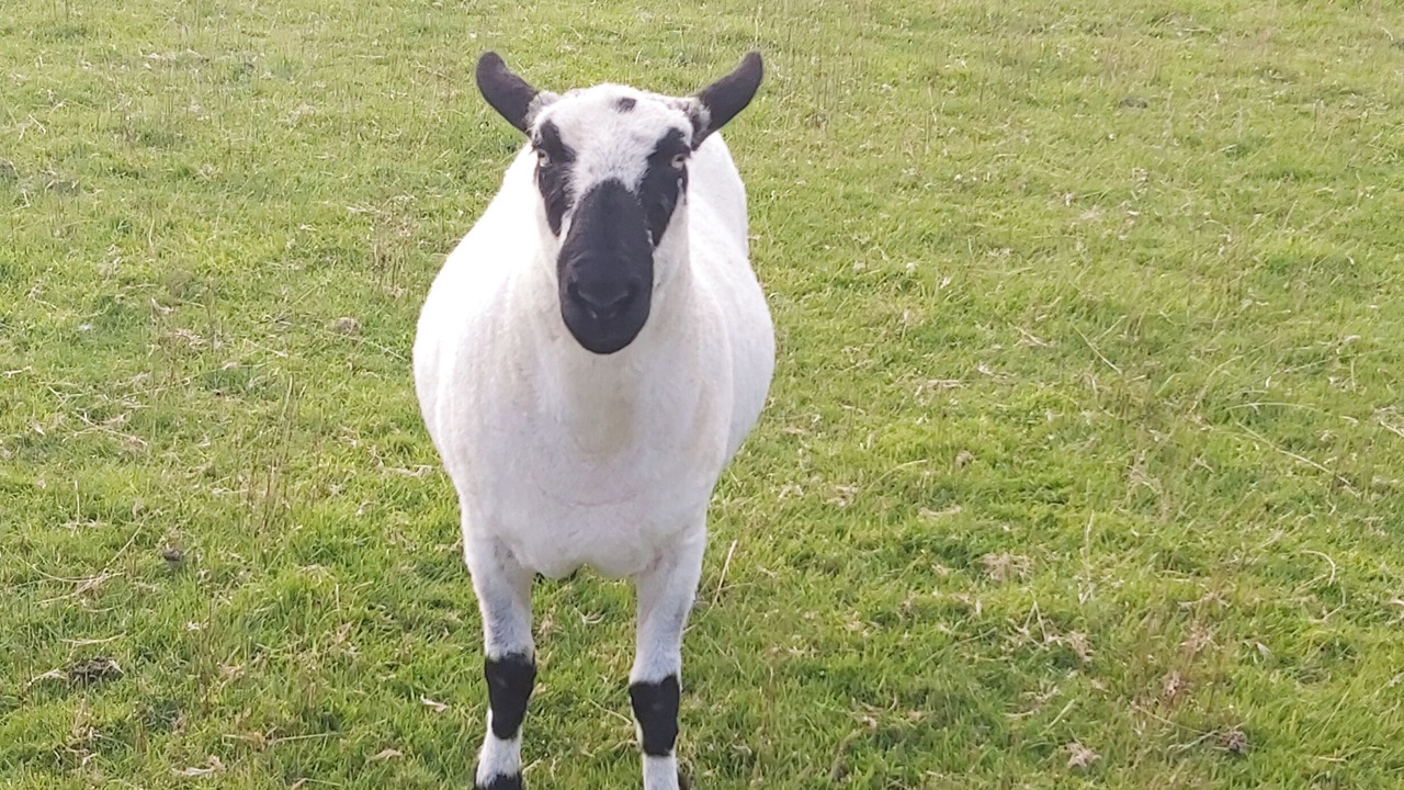 Photo of Others in Brayford