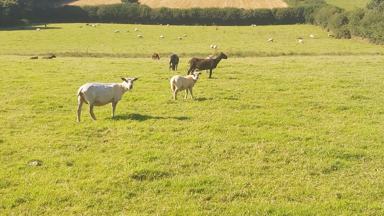 Photo of Others in Brayford