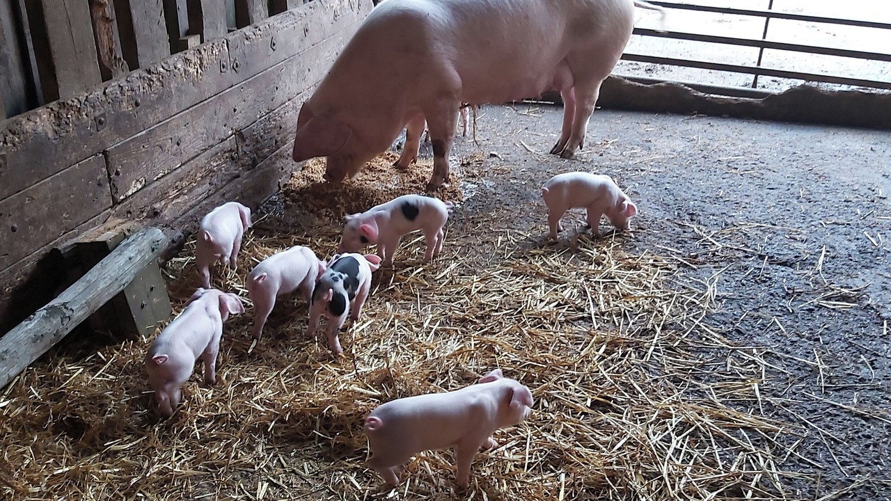 Photo of Others in Brayford