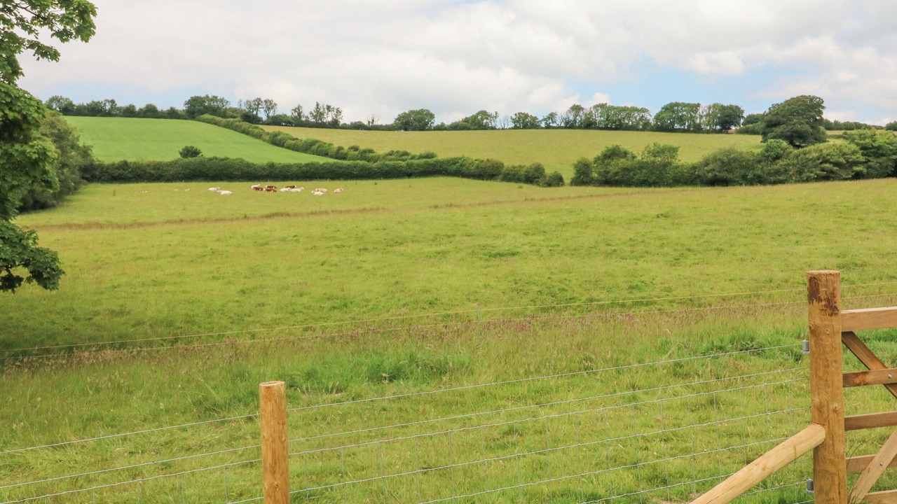 Photo of Outdoor in Brayford