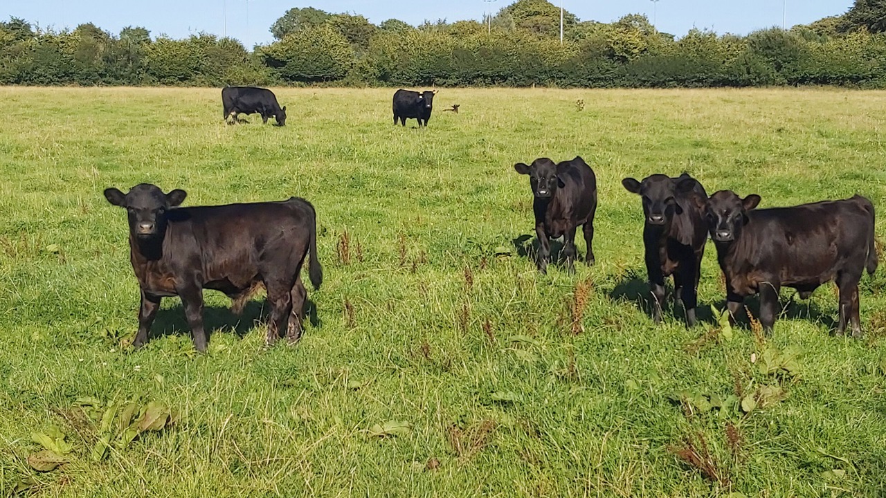 Photo of Others in Brayford