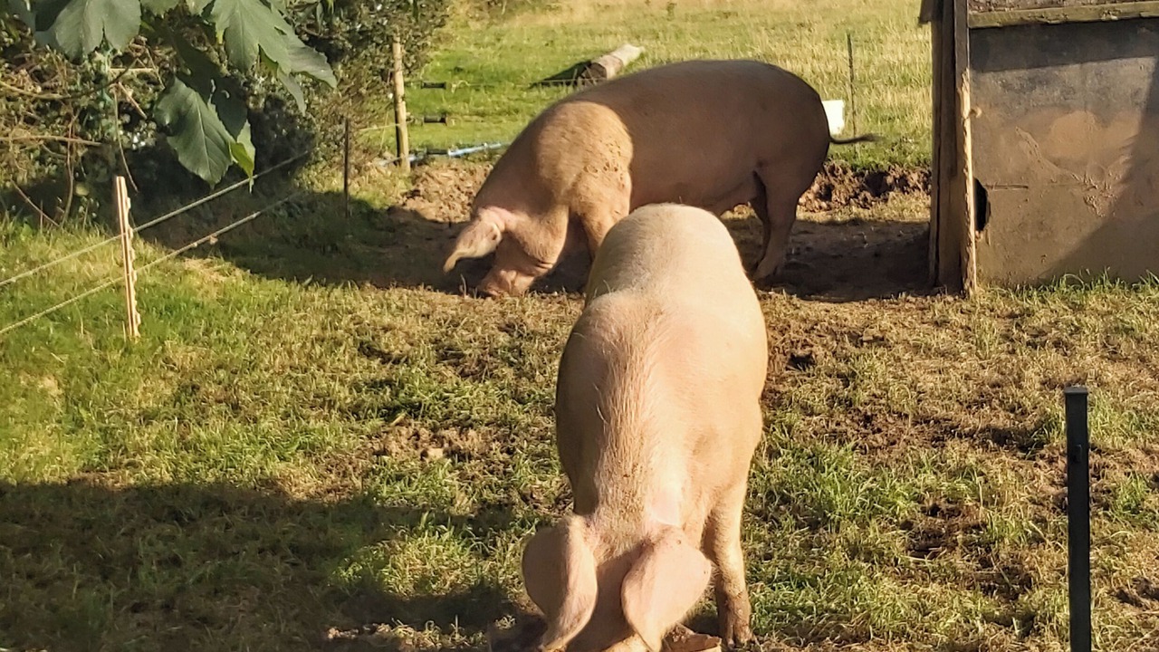 Photo of Others in Brayford