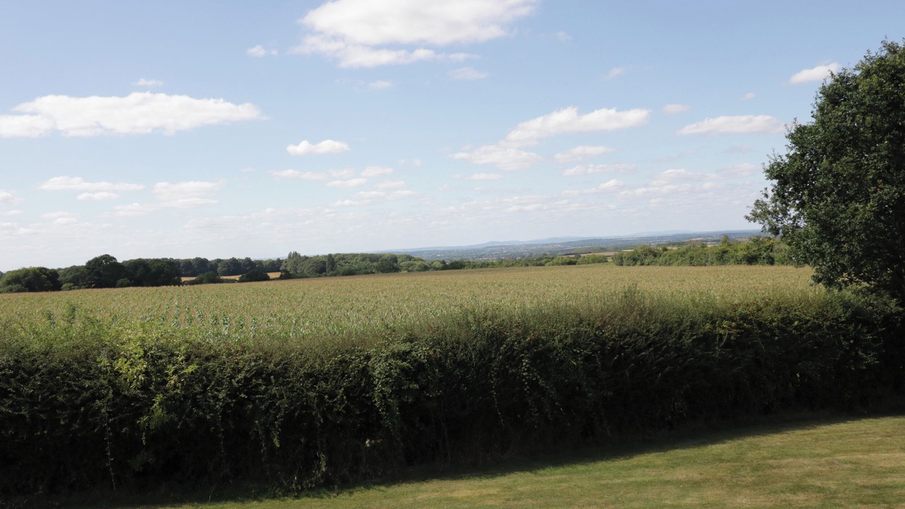 Photo of Others in Harvington