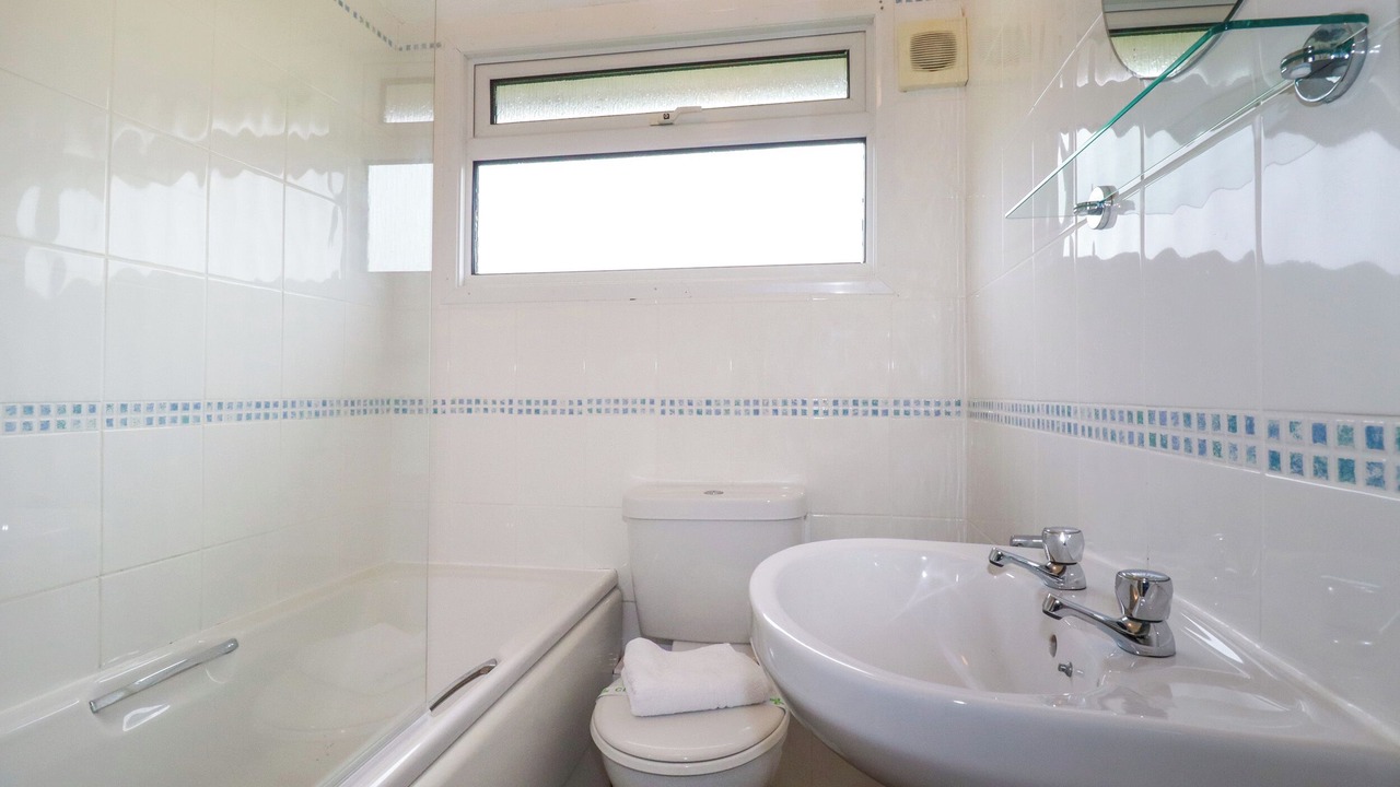 Photo of Others in Treator