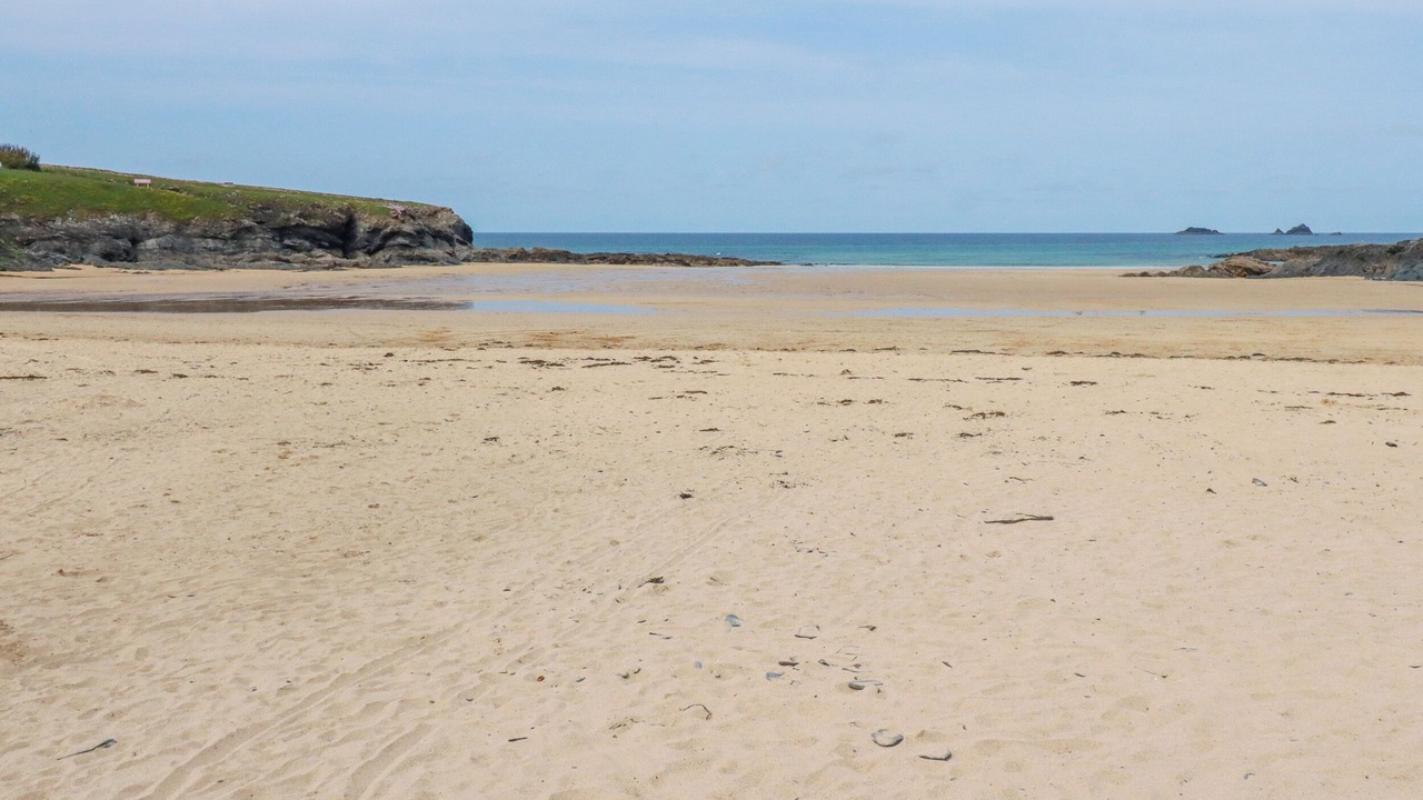 Photo of Others in Treator