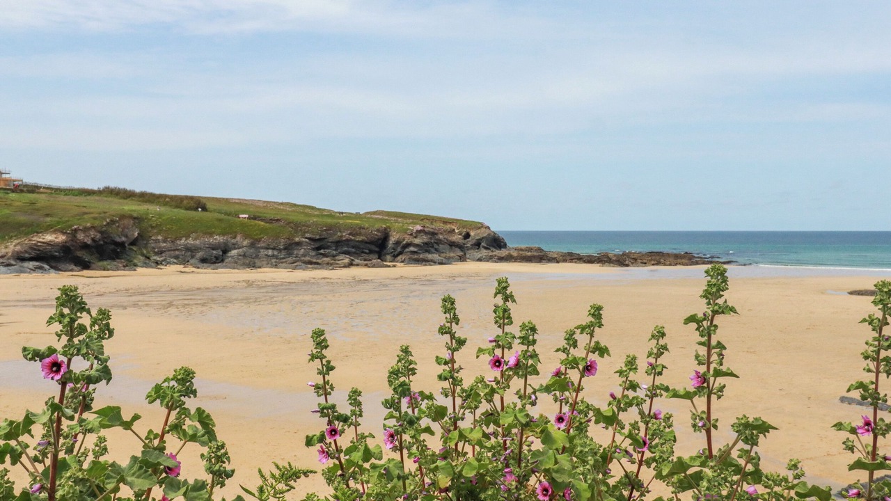 Photo of Others in Treator