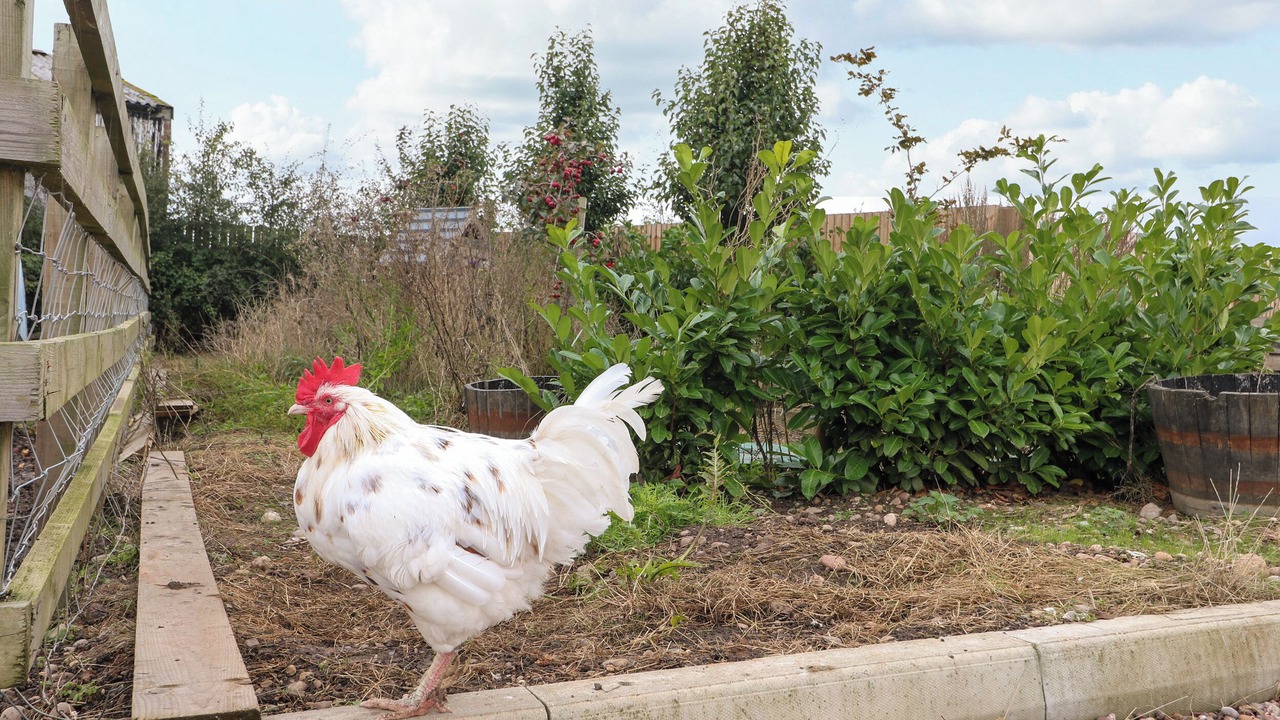 Photo of Outdoor in Derbyshire