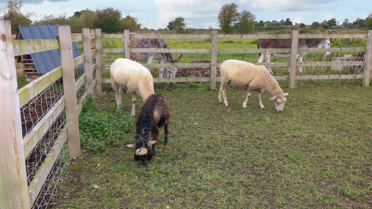 Photo of Others in Derbyshire