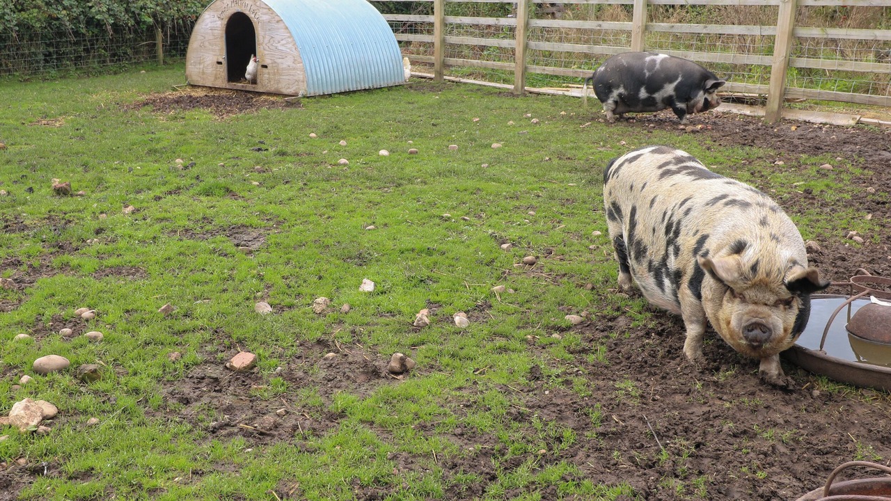 Photo of Outdoor in Derbyshire