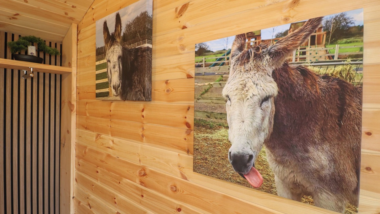 Photo of Others in Derbyshire