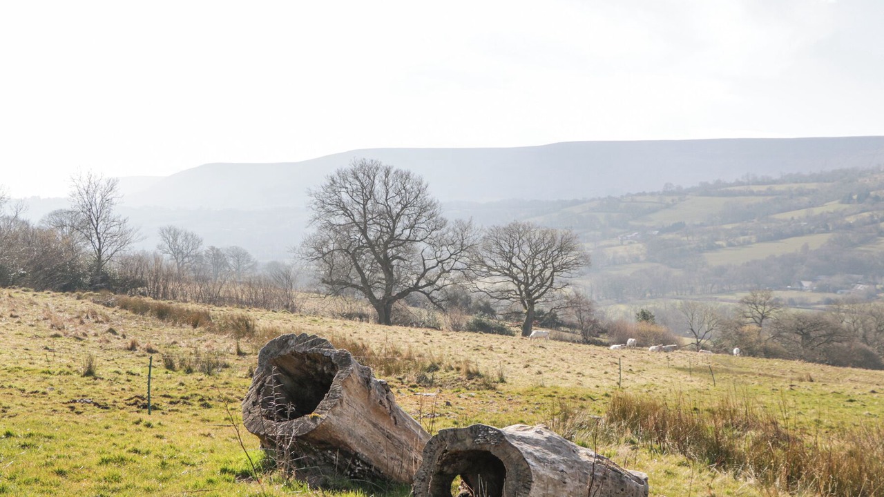 Photo of Others in Longtown
