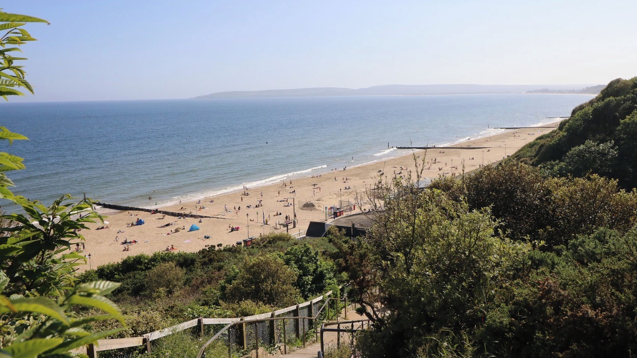 Photo of Others in Southbourne