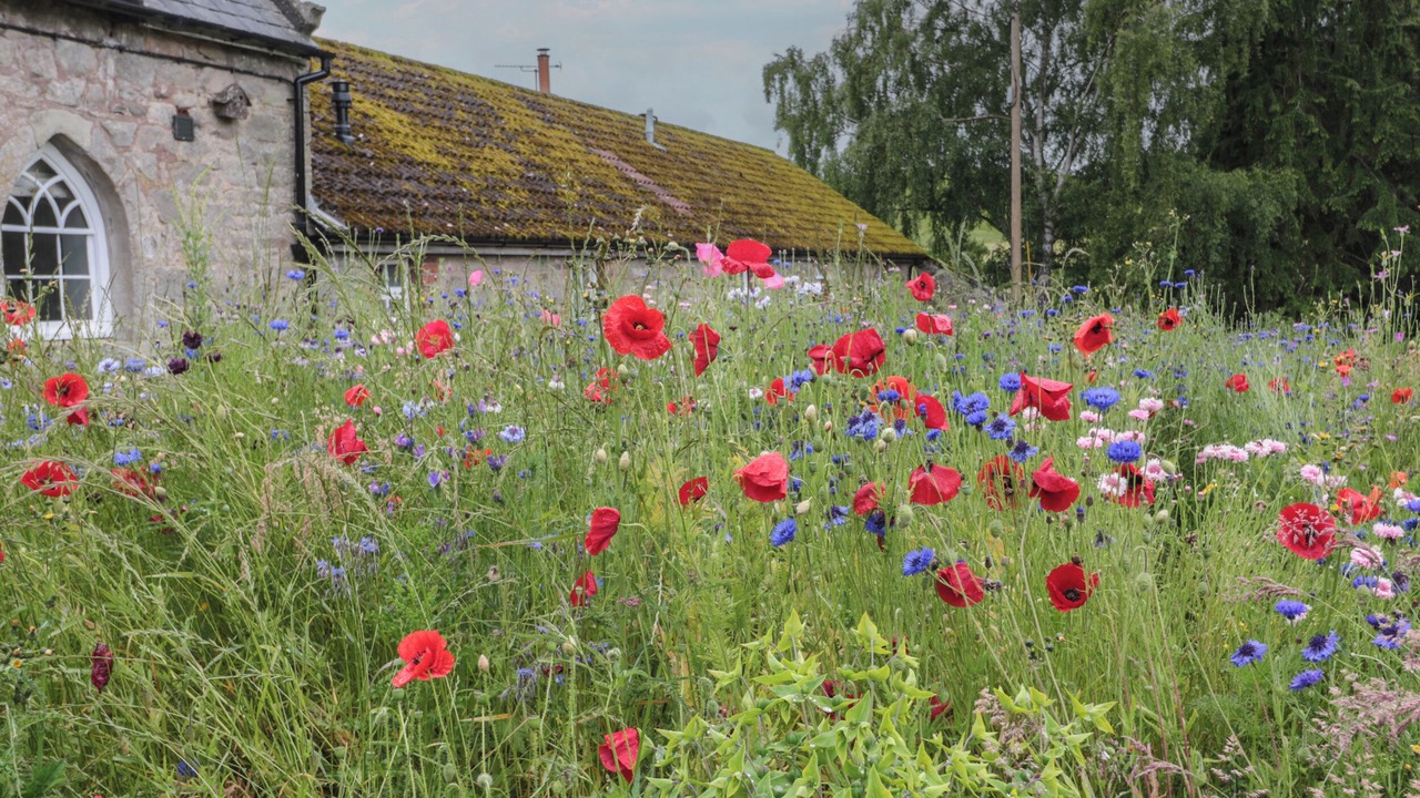 Photo of Outdoor in Ford