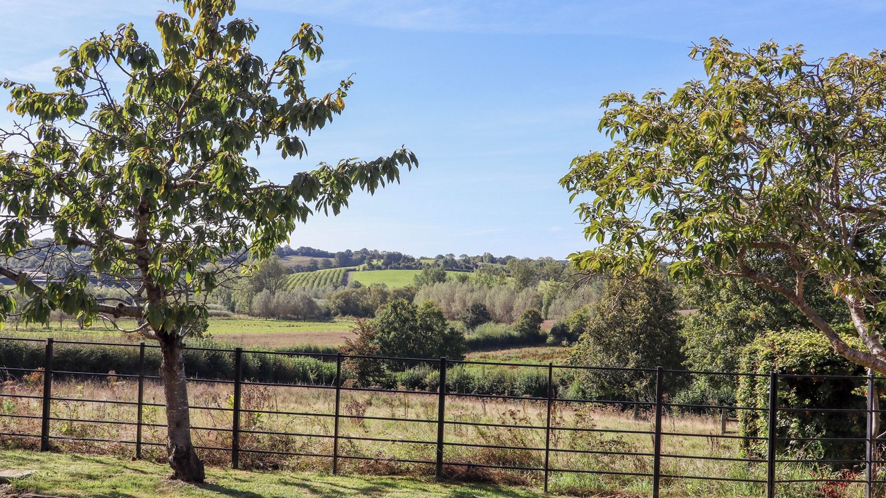 Photo of Others in Ewhurst Green