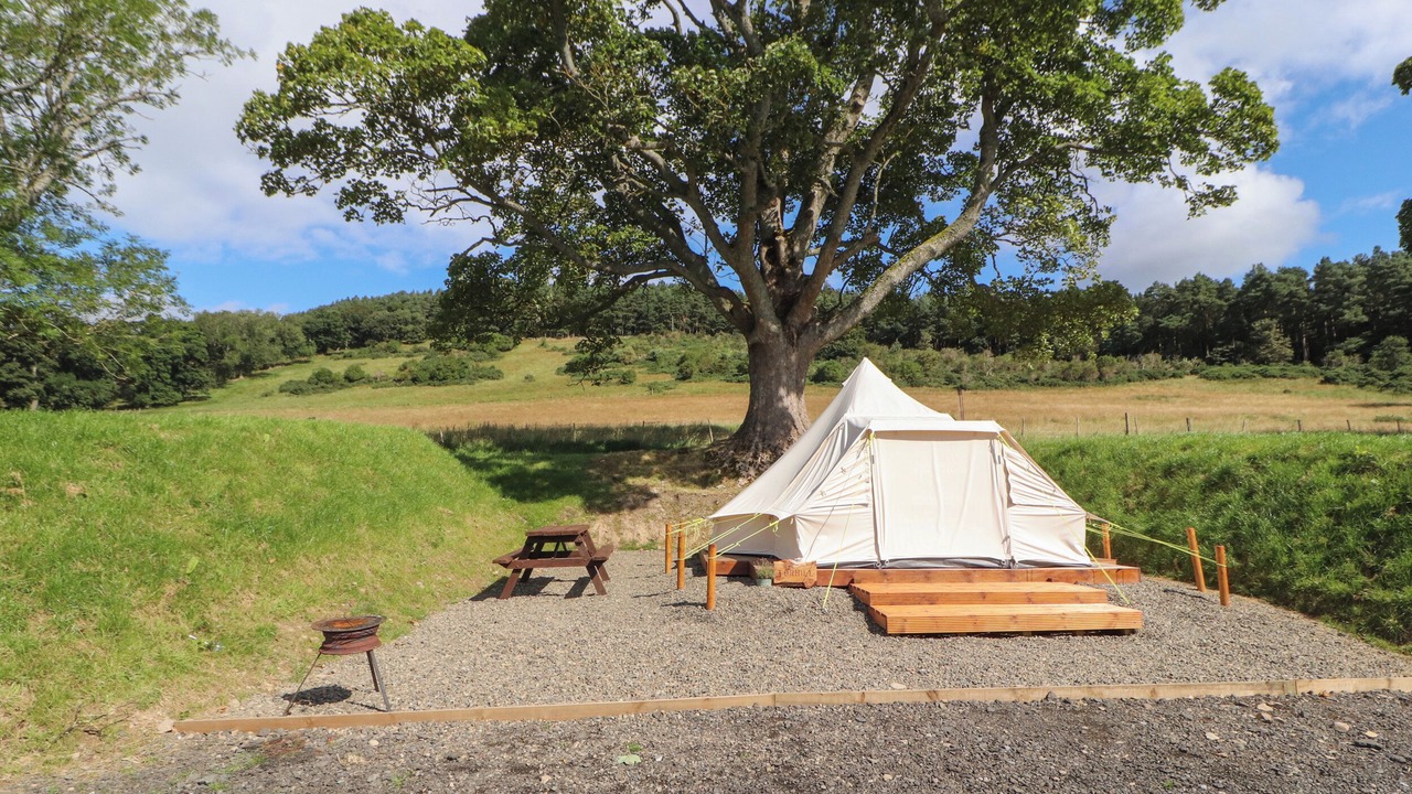 Photo of Outdoor in Glentress