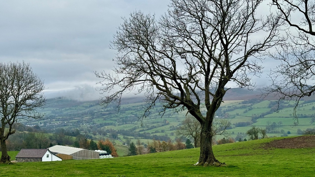 Photo of Others in Graigfechan