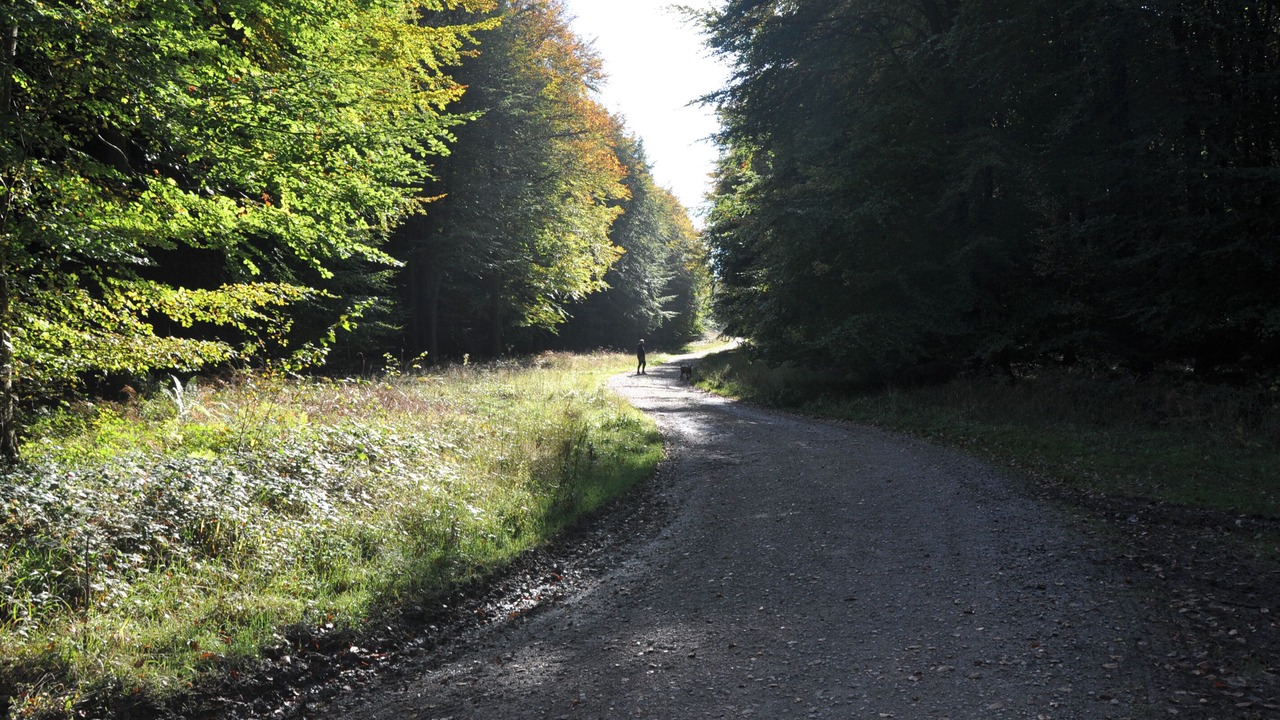 Photo of Others in Challock