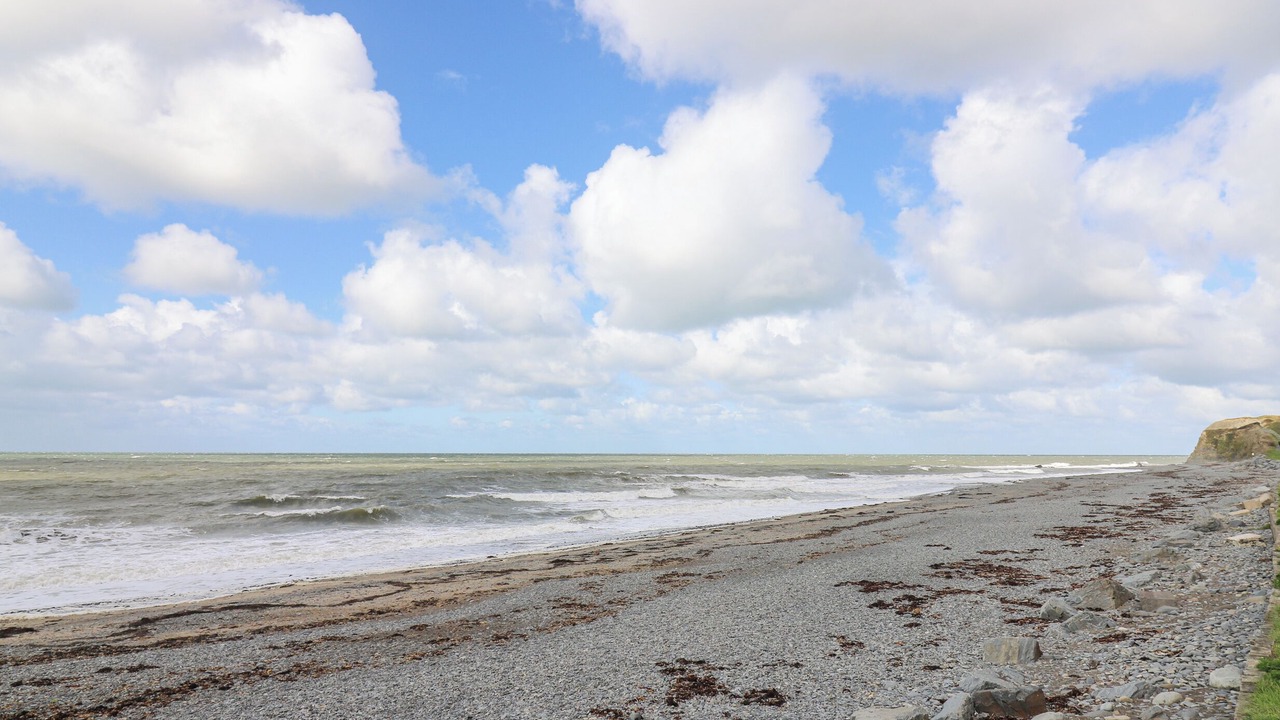 Photo of Others in Aberystwyth