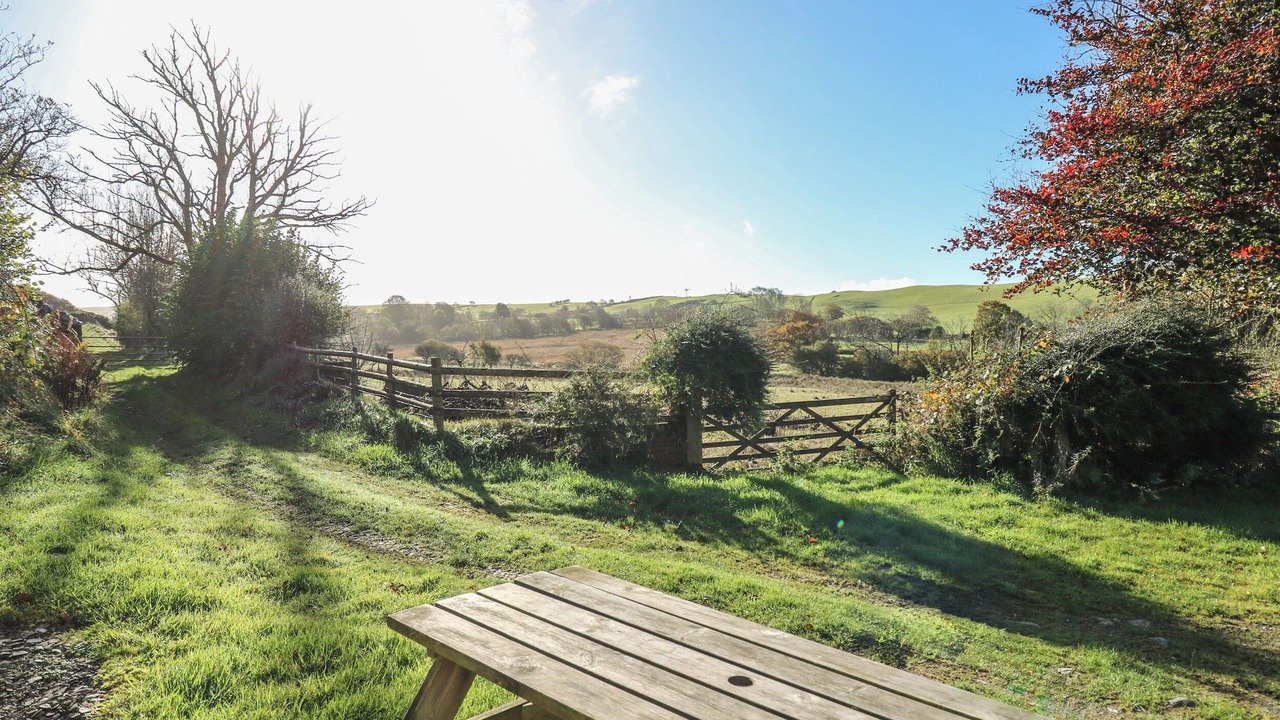 Photo of Outdoor in Tregaron