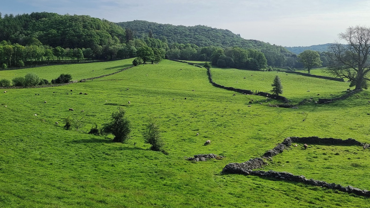 Photo of Others in Haverthwaite
