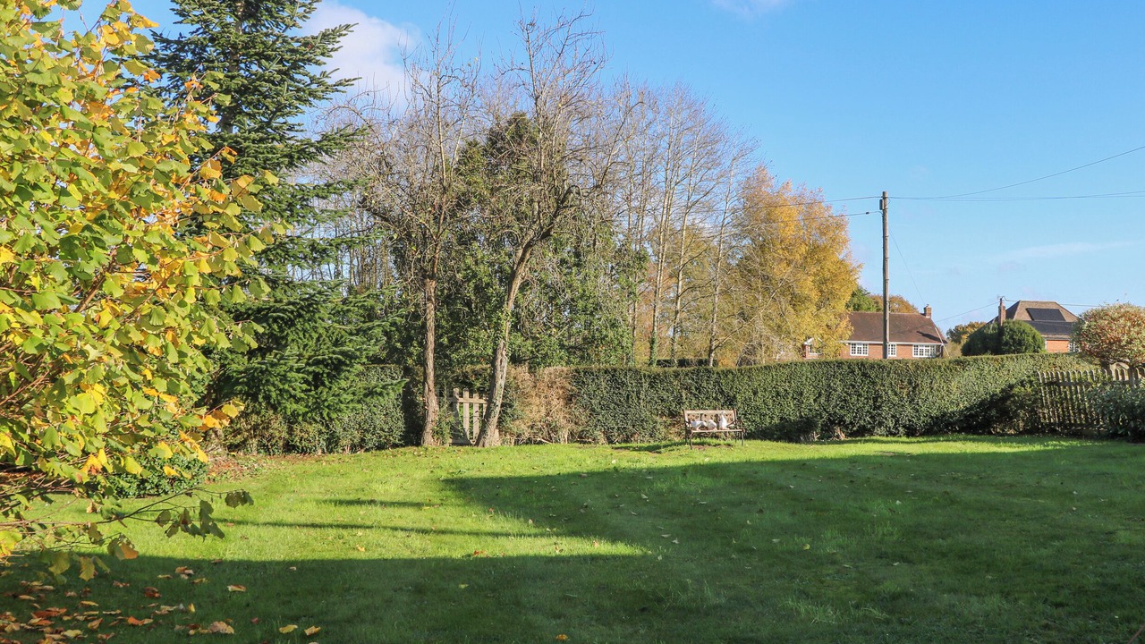 Photo of Outdoor in Dunbridge